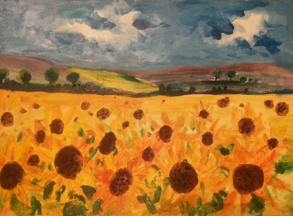 un camp de floarea soarelui